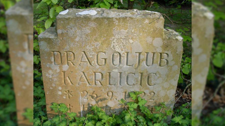 Dragoljub Karlicic.