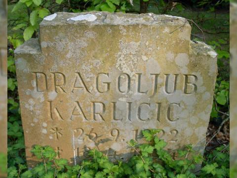 Karlicic