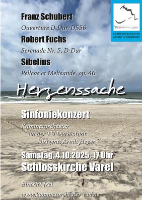 Herzenssache- Konzert des Kammerorchesters der TU Darmstadt