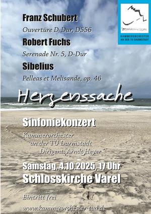 Herzenssache- Konzert des Kammerorchesters der TU Darmstadt