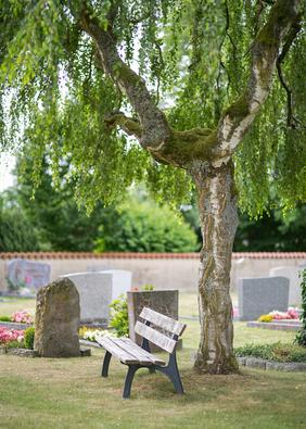 Blick auf Friedhof.